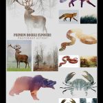 مجموعه جذاب اکشن های فتوشاپ