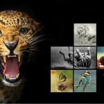 تصاویر لاج فرمت VOL.01