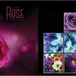 تصاویر لاج فرمت VOL.01